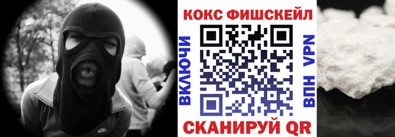 Купить  Вельск  КОКАИН Fish Scale 