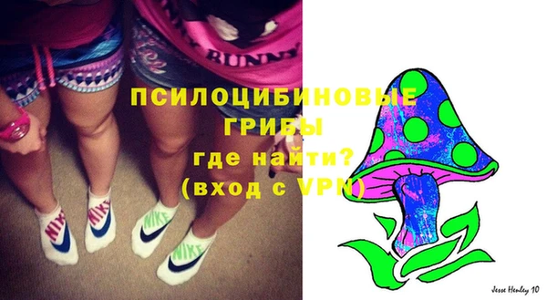 амф Беломорск
