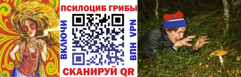 Купить  Вельск  Галлюциногенные грибы Magic Shrooms 
